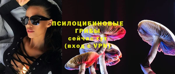 стафф Володарск