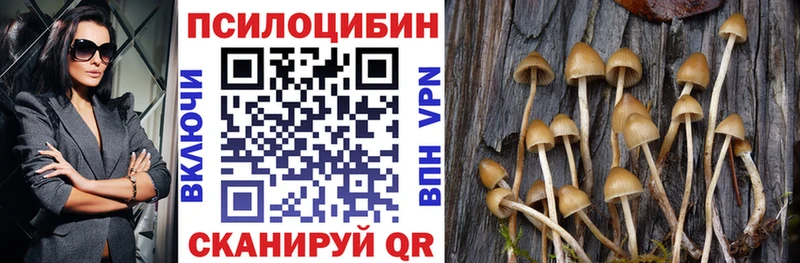 цены   Печора  Галлюциногенные грибы GOLDEN TEACHER 